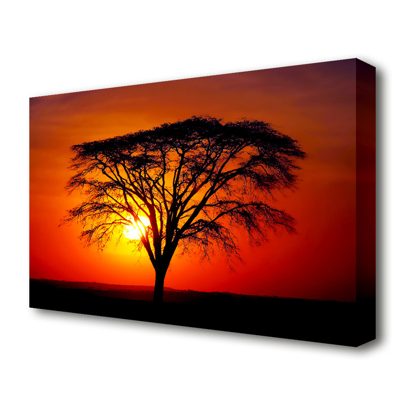Through The Trees Sunset - Wrapped Canvas Print, 101.6 cm H x 142.2 cm W