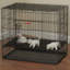 Caisse pour animaux