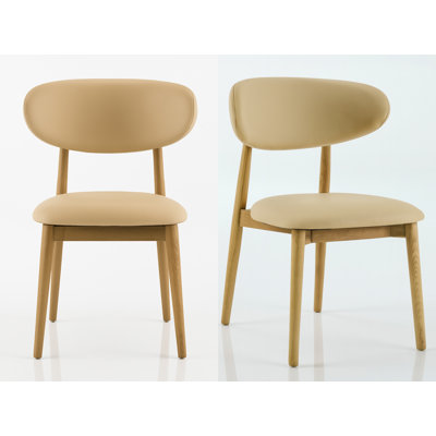 Ensemble de chaises de salle à manger Nordic Comfort