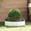 Garden Planters 5 Pcs 20 Cm Steel-1878025850-1878025851