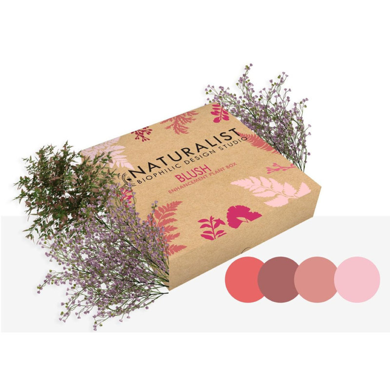 Blush - Artificial Plant Kit
