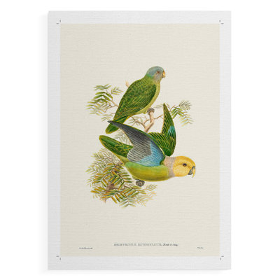 Lime&CeruleanParrotsI -Canvas Print Only - NOT FRAMED