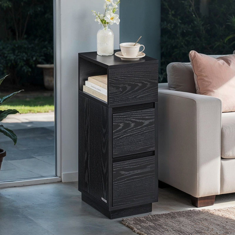 Anushan 25cm W Manufactured Wood Bedside Table, Black