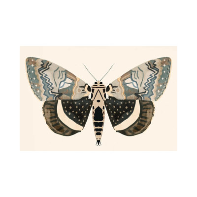 Papillon neutre I