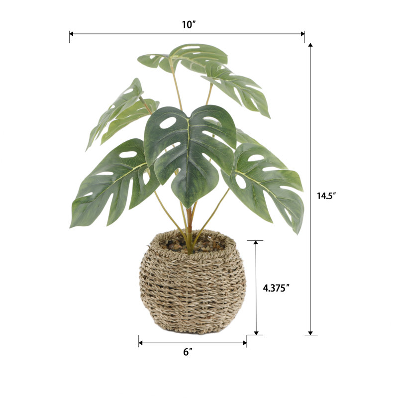 15"H Split Leaf In 6" Basket 6X6X4.25
