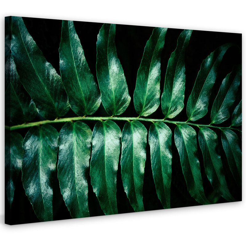 1 Piece Wrapped Canvas Wall Art, 101cm H x 152cm W x 3.81cm D