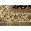 Oriental Area Rug in Gold