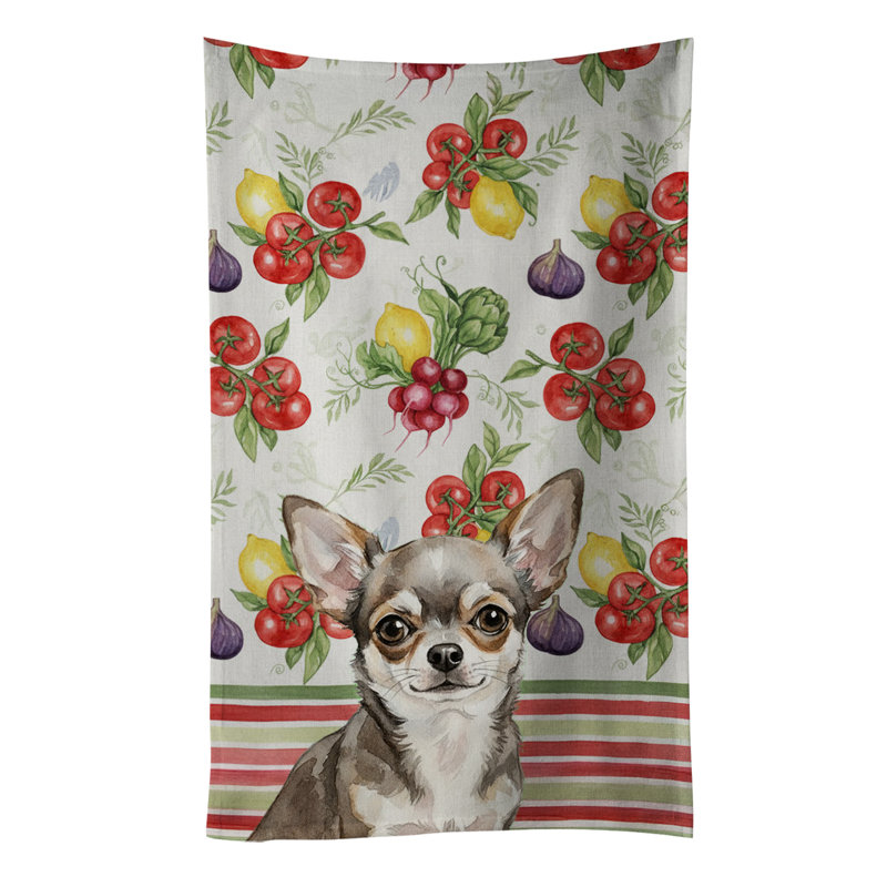Torchon Chihuahua, Chihuahua
