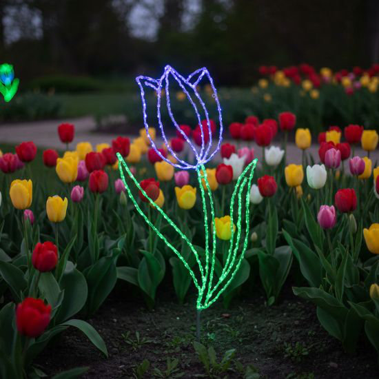 2D Tulip Sign