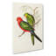 King Lory Parrot by Elizabeth Gould - Wrapped Canvas-55362185