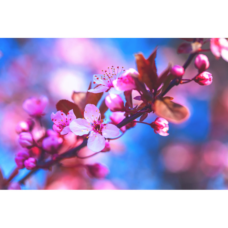 Spring blossoms, 30cm H x 46cm W