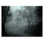Print on Canvas-25210751-25210756