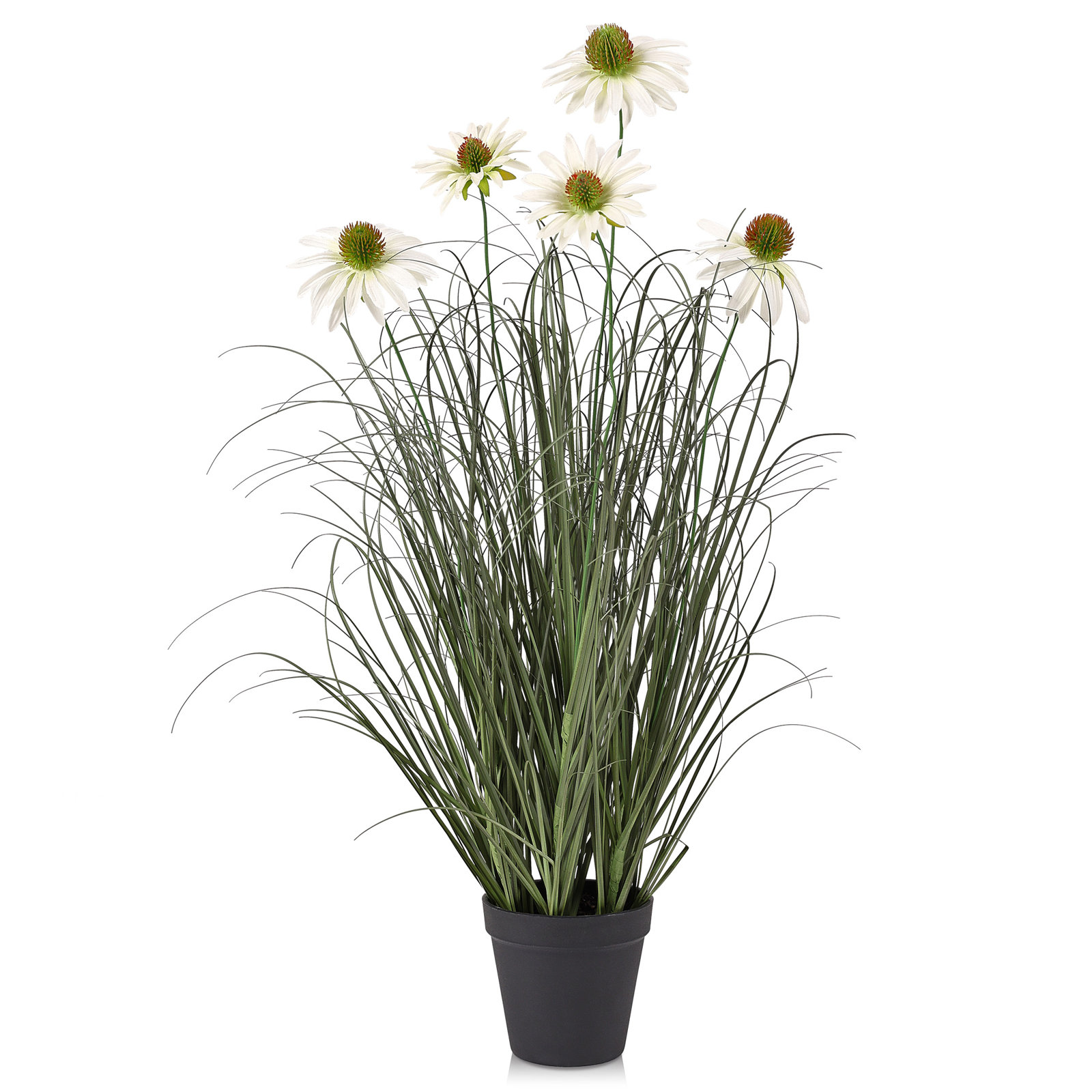 Adcock 36" Onion Grass in Pot, 24" H x 12" W