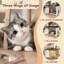 Enceinte de litière pour chat de ferme avec porte de grange coulissante, lumière DEL