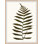 Elevated Undergrowth 5 Print by Art House Studios