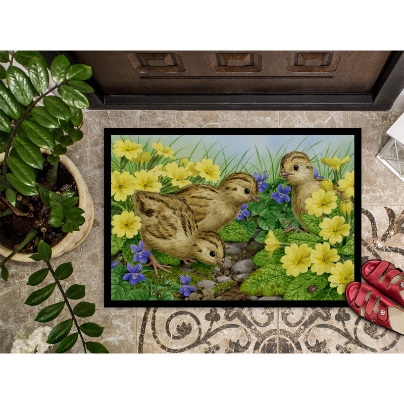 Tapis de porte pour l’extérieur antidérapant de poussins faisan, Rectangle 1 pi 6 po x 2 pi 3 po