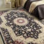 Oriental Area Rug-70212363