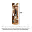 New Chinese Style Elm Corner Cabinet