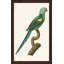 Perched Parrot 4 Painting