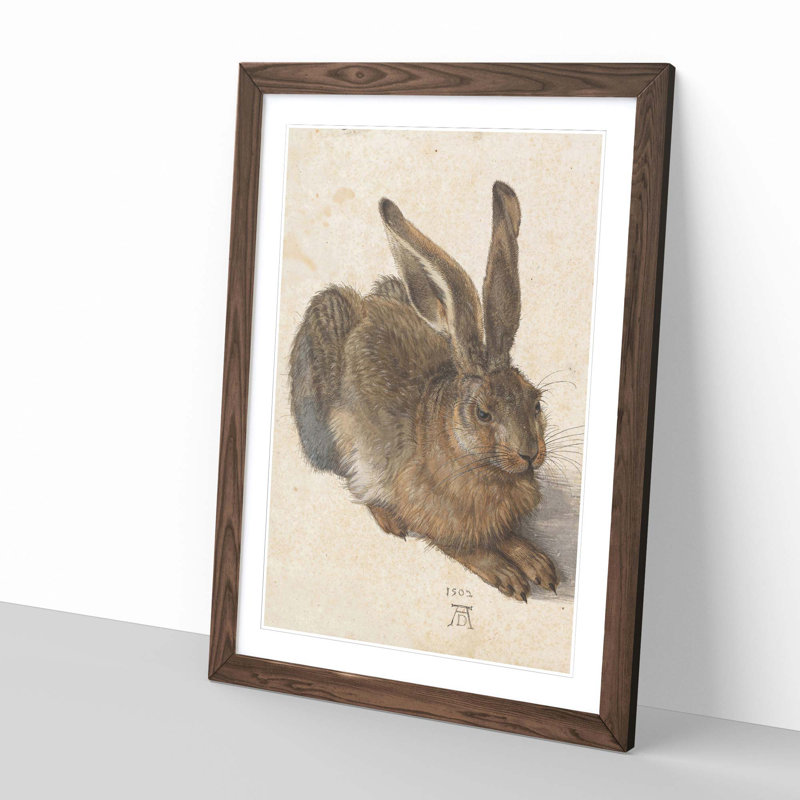 Albrecht Dürer - Single Picture Frame Print, Walnut
