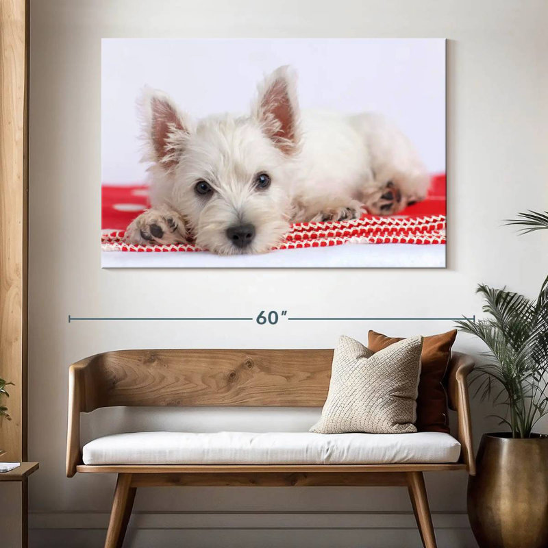 Brampt Blanco I, 34" H x 51" W