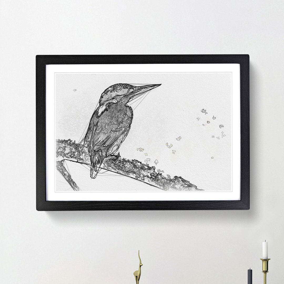 Kingfisher Bird on a Branch - Picture Frame Graphic Art Print