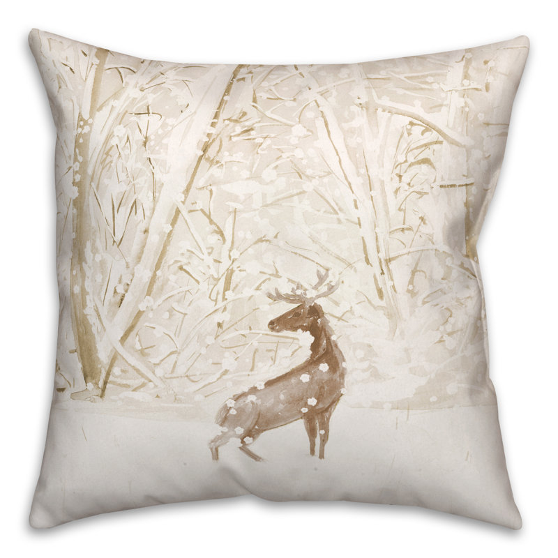 Kleiber Reversible Throw Pillow, 20" H x 20" W