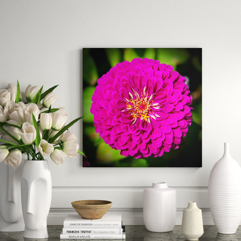 Bloom Print by Ted Glasoe