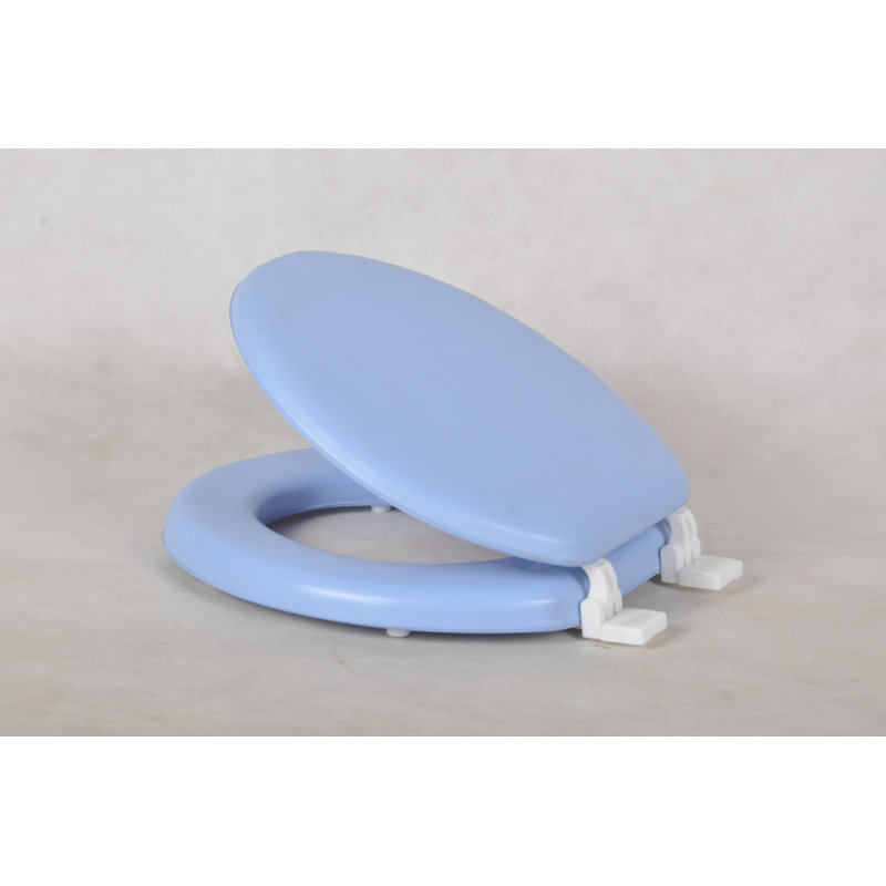 Round Toilet Seat and Lid, Light Blue