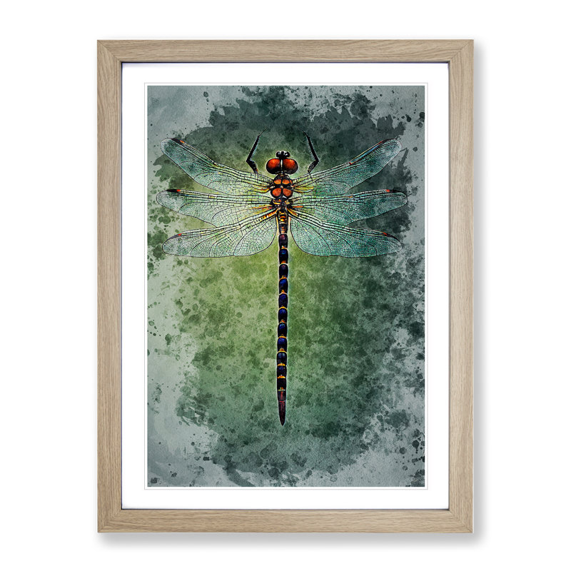 XV1022-5113X Watercolour Dragonfly No.2 - Single Picture Frame Painting, 46cm H x 34cm W x 2cm D, Oak