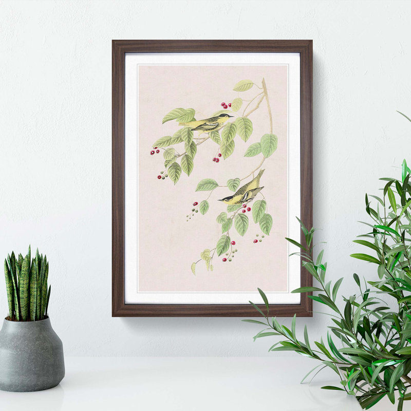 Carbonated Warbler Birds by John Audubon - Picture Frame Painting Print, 48cm H x 36cm W x 2cm D, Walnut Framed