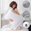Ensemble d'édredon réversible avec draps Bed-in-a-bag-103089527-103089524