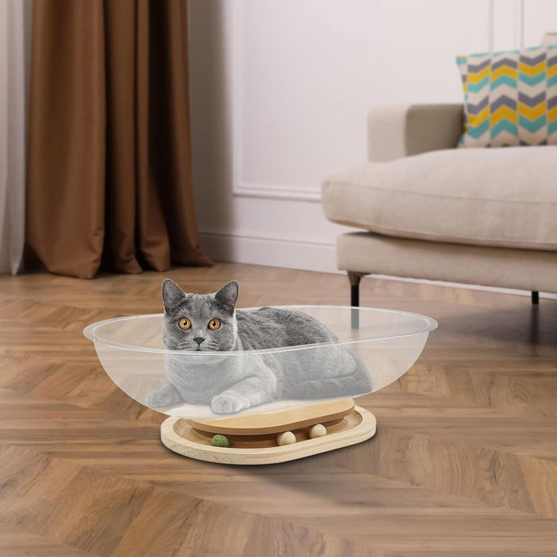 Lit pour chat avec capsule en acrylique - Bubble Lounge transparent, H 6,69 po x l 21,26 po x P 12,99 po