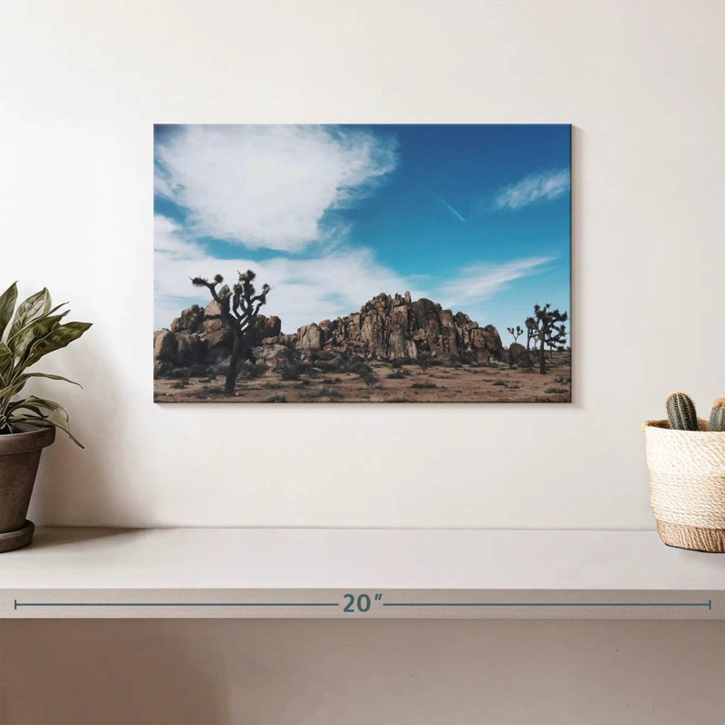 Nicci Joshua Tree Mastodon Peak, H 8 po x l 12 po