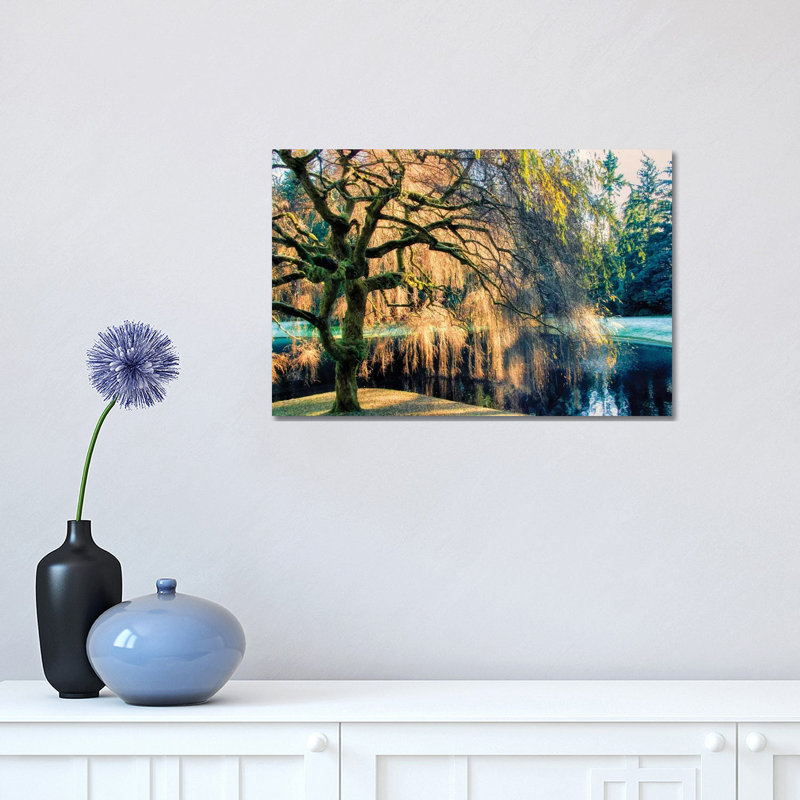 Willow - Print on Canvas, Wrapped Canvas, 30.48 cm H x 45.72 cm W