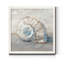 Blue Shell Study III-impression de cadre photo sur papier-145096515-145096538