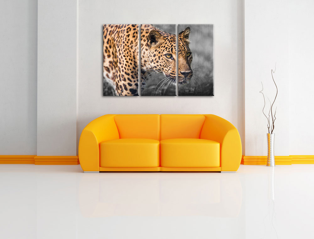 3-tlg. Leinwandbilder-Set Schlauer Leopard, Fotodruck