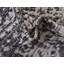Tapis intérieur / extérieur gris anthracite Cowart-1220857980