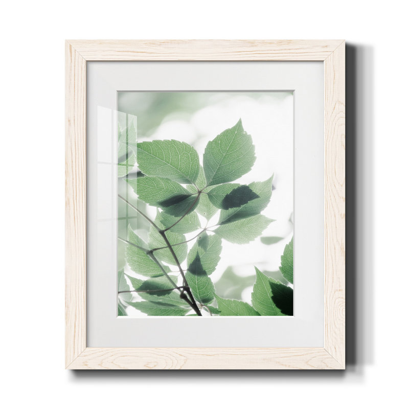 Fields II - Cadre photo, reproduction de photo sur papier, Blanc, H 20 po x l 17 po x P 1,5 po