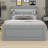 Darrein Platform Storage Bed-1441064836-1441064837