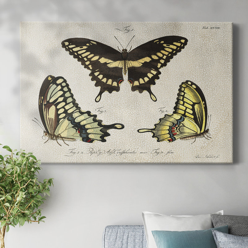 Toile tendue avec craquelures I-Gallery, H 12 po x l 18 po