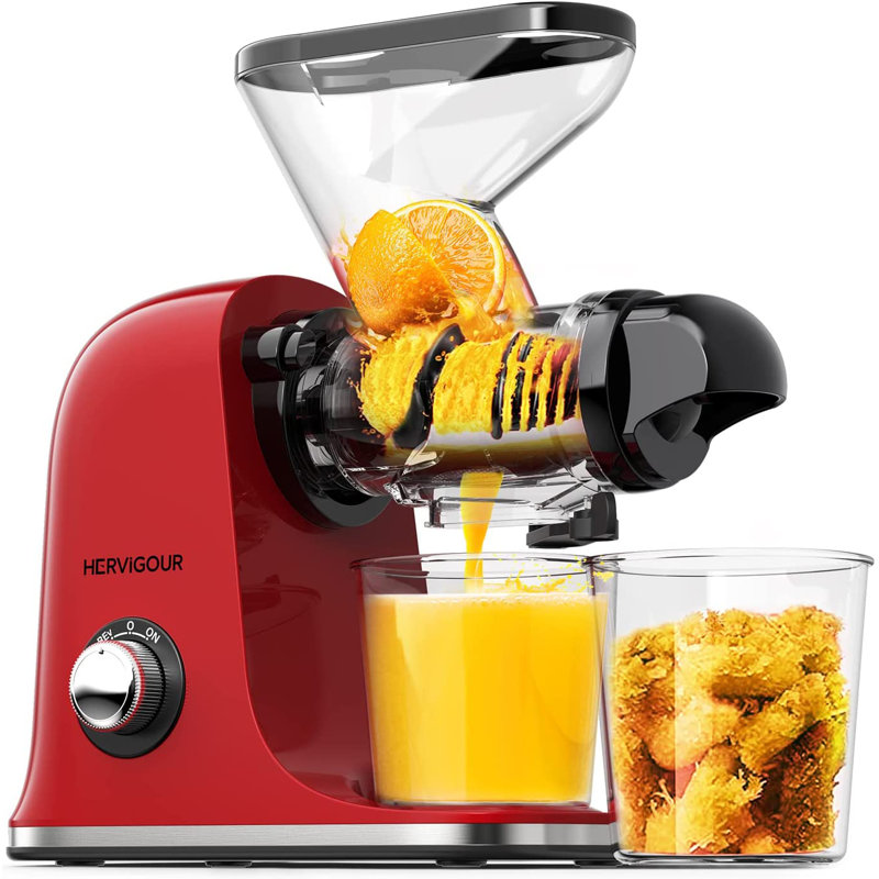 C&g Home Slow Masticating & Cold Press Juicer