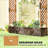 Wooden Planter Box