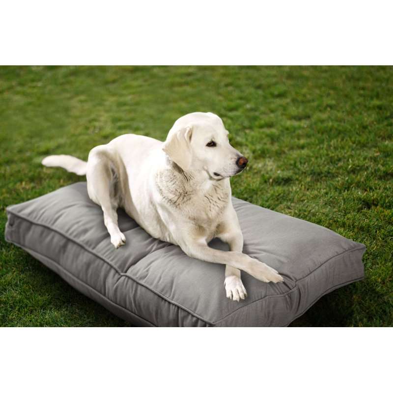 Lit pour chien d'intérieur et d'extérieur Sunbrella, Grand (l 40 po x P 30 po x H 4 po), Colombe