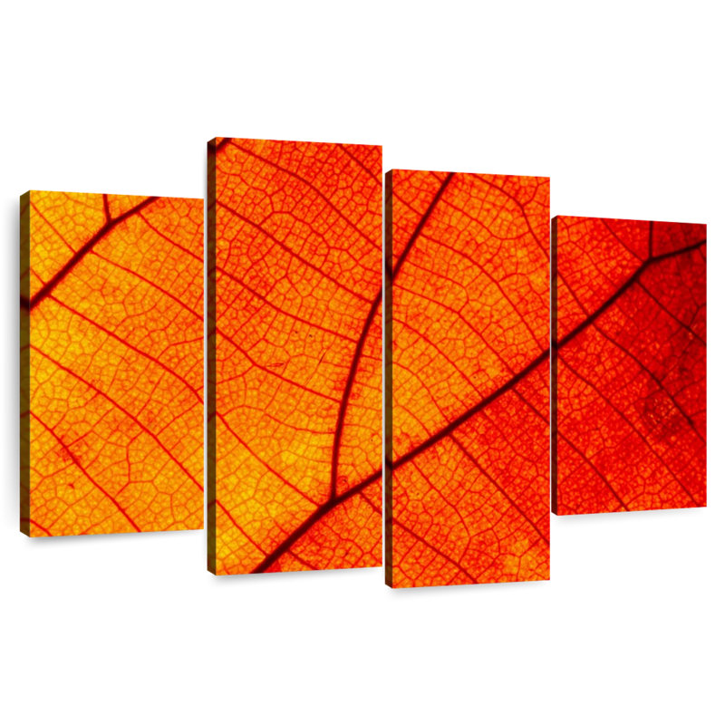 Harnek Autumn Leaf Venation, H 27 po x l 43 po