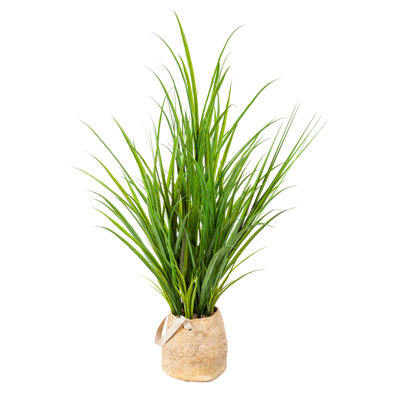 Oignon artificiel en pot