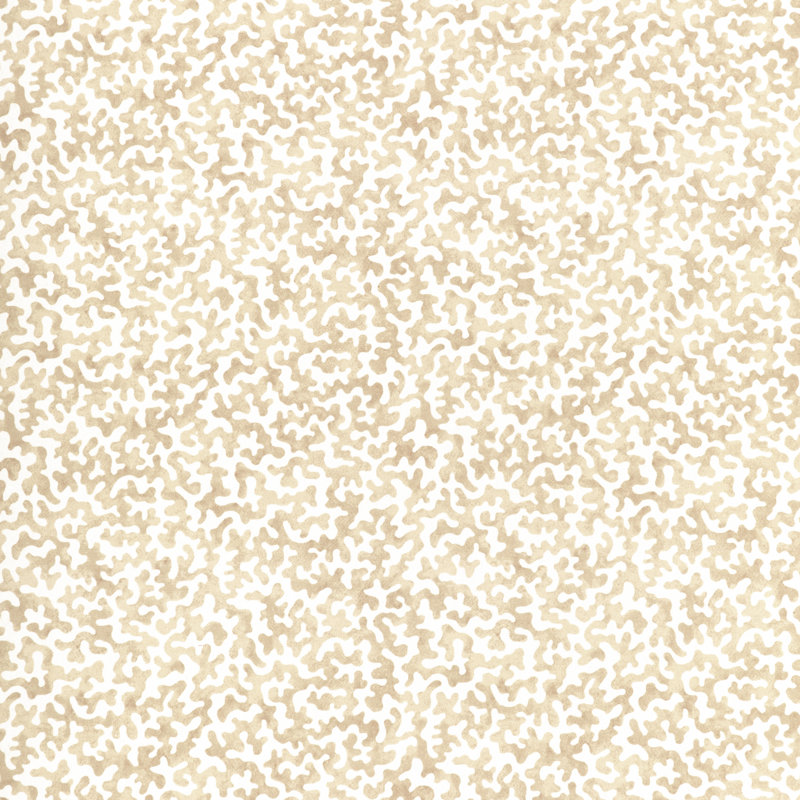 Coralcoast, Sand