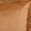 Watson Velvet Lumbar Pillow Cover & Insert