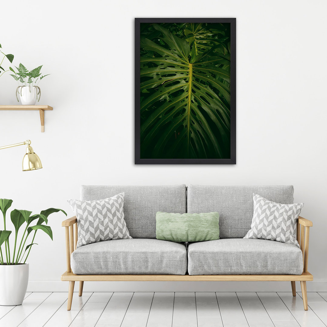 Gerahmtes Poster Monstera -a Leaf From Nature