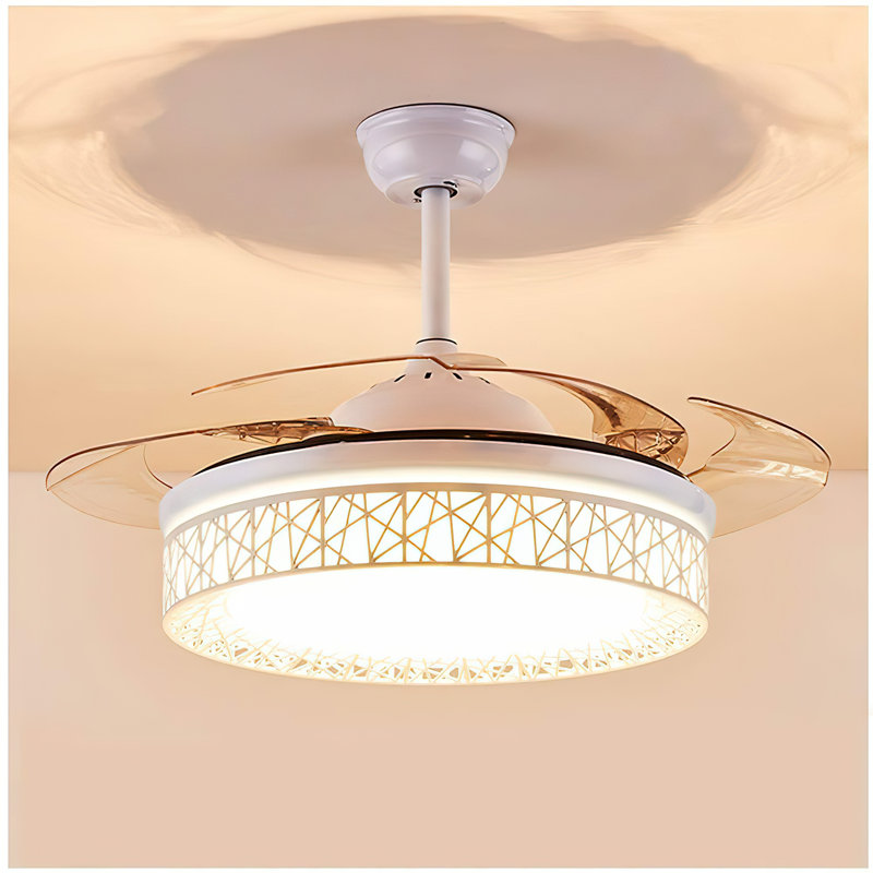 Tasmine 42'' Ceiling Fan with LED Lights, White